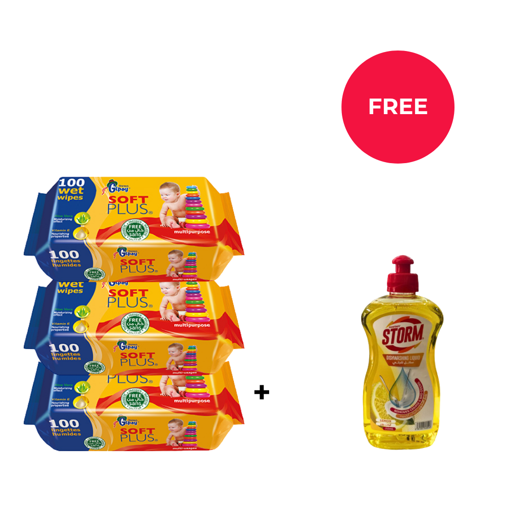 961Home | Gipsy Wet Wipes Value Pack + Free Storm Dishwash Lemon 150ML